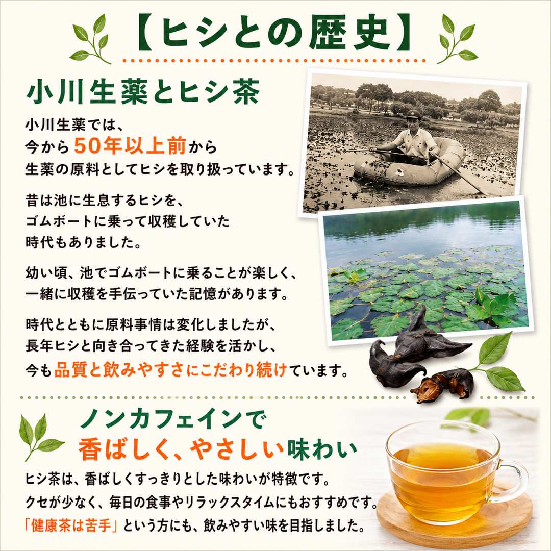 ヒシとの歴史