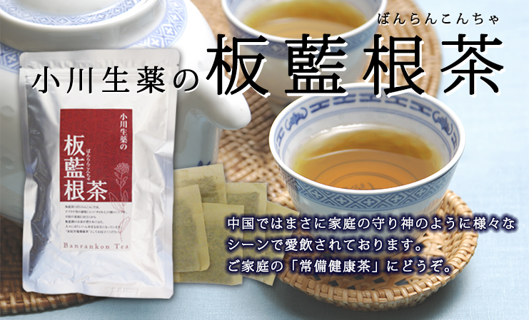 小川生薬の板藍根茶