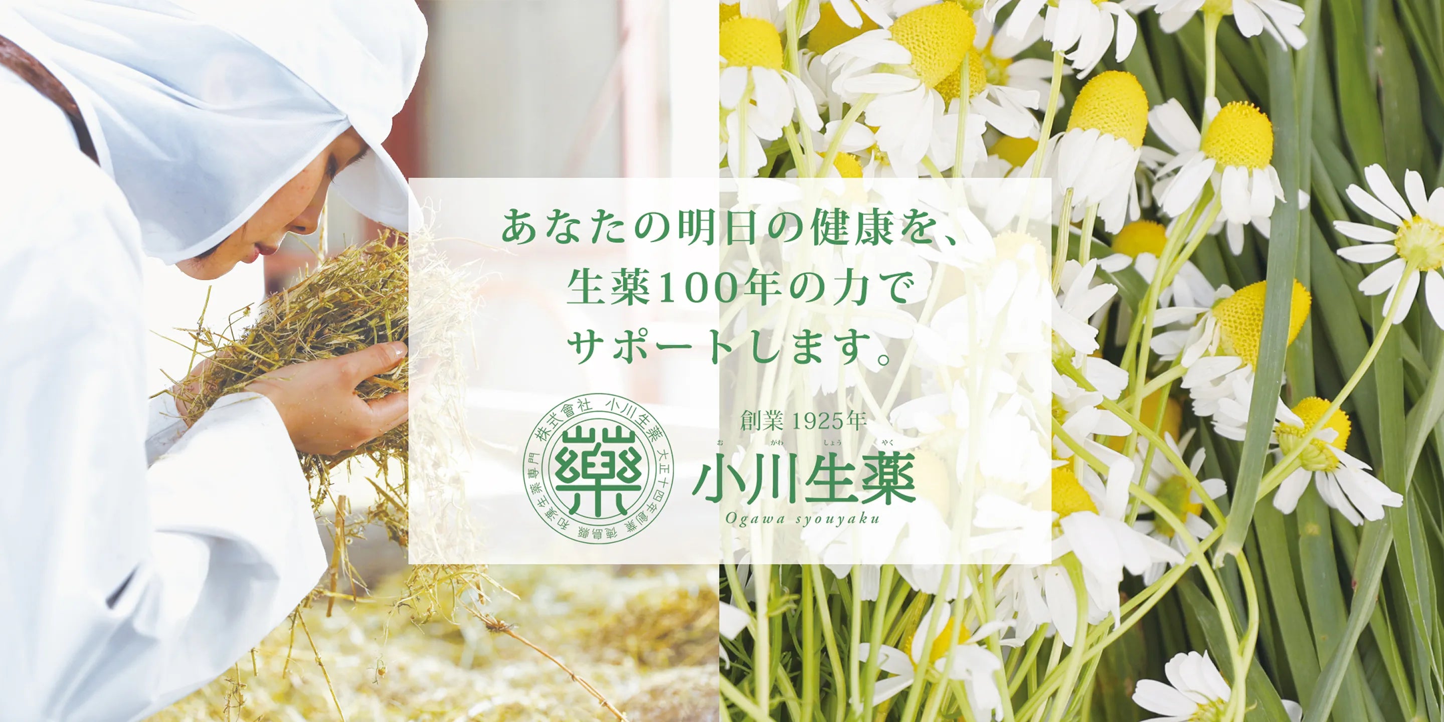 すべての商品