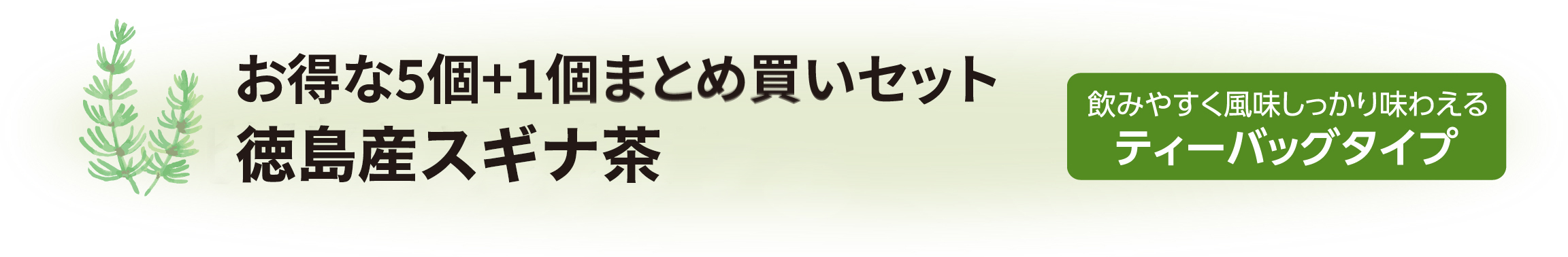 お得な5個まとめ買いセット 国産スギナ茶 飲みやすく風味しっかり味わえるティーバックタイプ