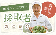 国産へのこだわり　採取者のご紹介