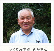 どくだみ採取　西島さん