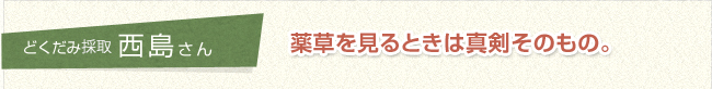 どくだみ採取　西島さん 薬草を見るときは真剣そのもの。