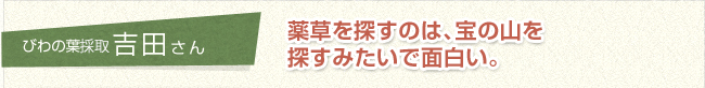 びわの葉採取　吉田さん 薬草を探すのは、宝の山を探すみたいで面白い。