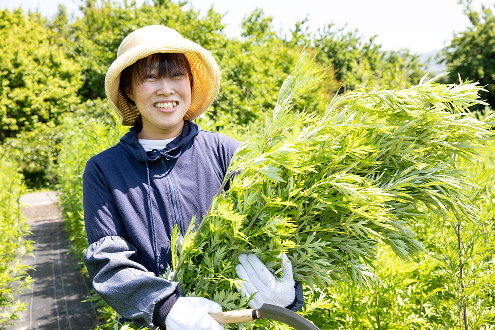 毎日飲みたい健康茶こそ、自社農園から届けたい。